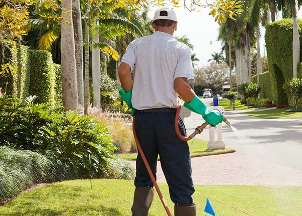 About Amherst SD Pest Control